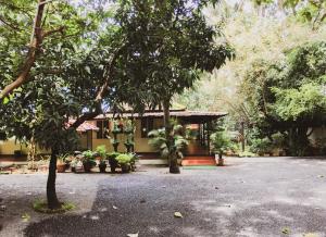 kanayannur
