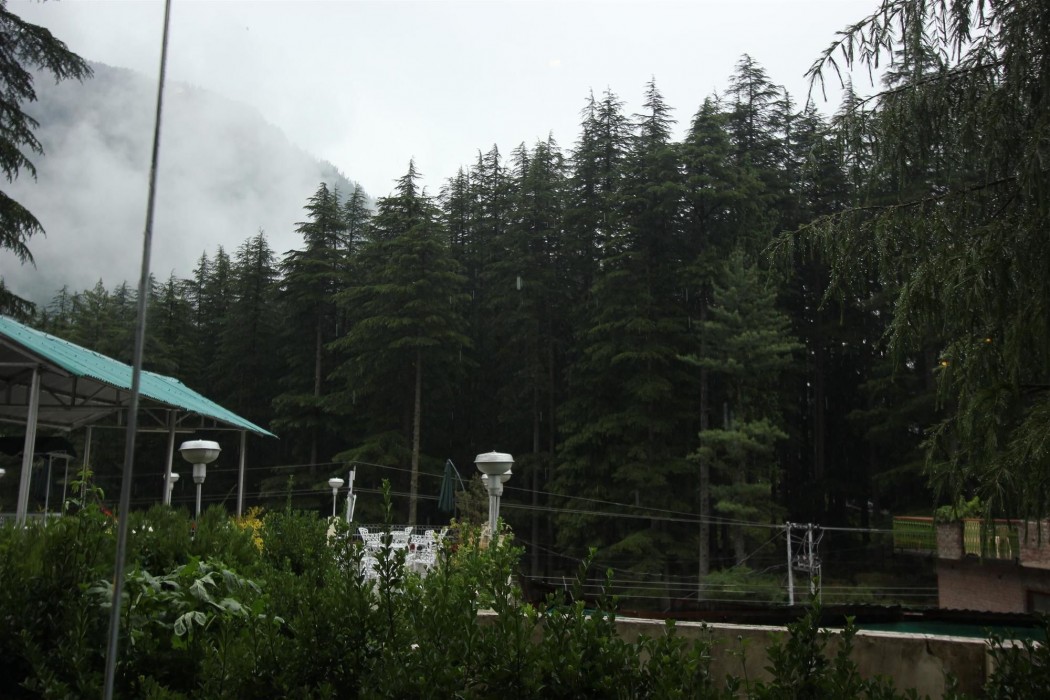 golden tulip manali