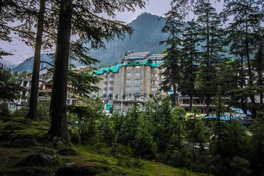 golden tulip manali