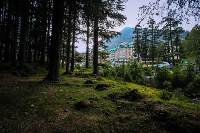 golden tulip manali