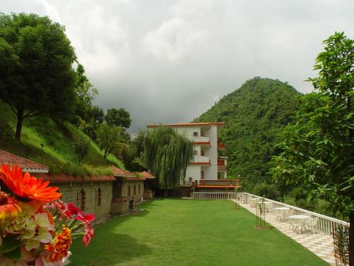 mandi