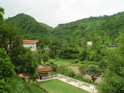 mandi