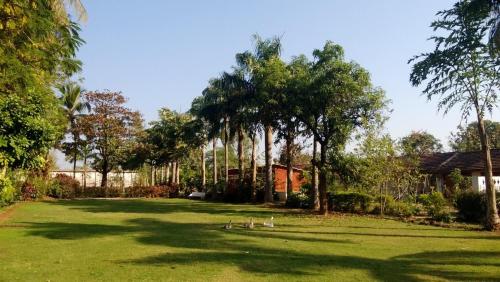jambughoda