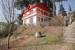 patnitop