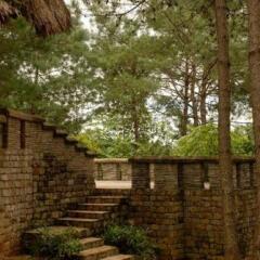 shillong