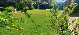 lonavala