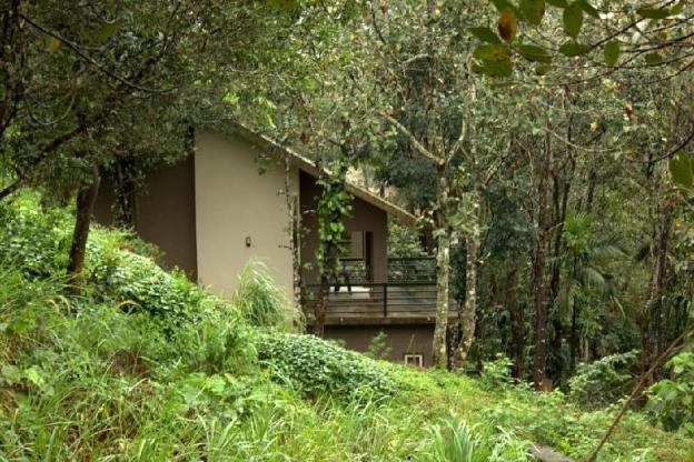 wayanad