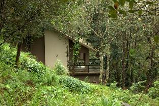 wayanad