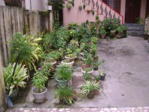 prems homestay
