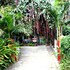 coorg