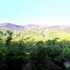 coorg