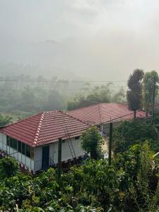 coorg