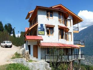 Mothertree Cottages,Manali>>Kullu,3 star