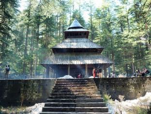 Hotel Hadimba Palace Manali,Hadimba Devi Tample, Hadimba Place, Circuit House Road, Road, Manali, Himachal Pradesh 175131,3 star