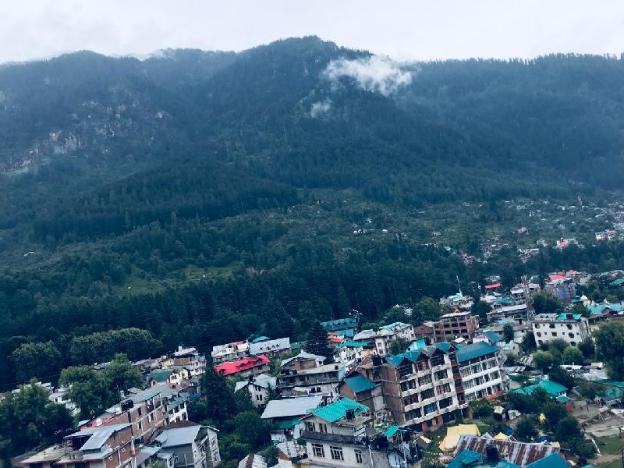 hotel hadimba palace manali