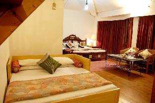 dchalet manali