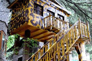dchalet manali