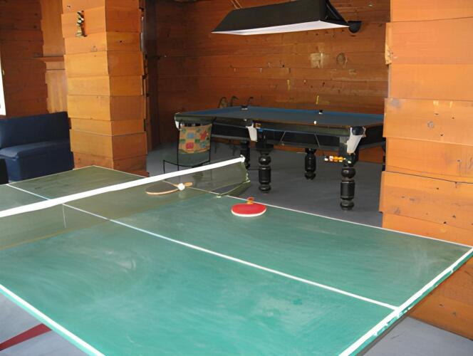 dchalet manali