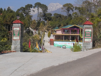 palampur
