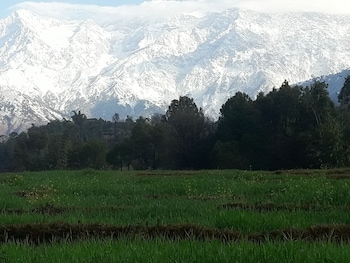 palampur
