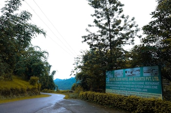 palampur
