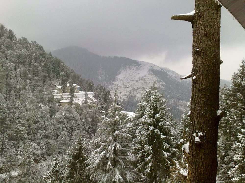 dalhousie