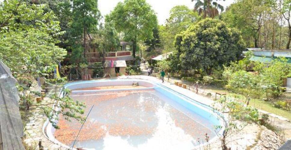 siliguri