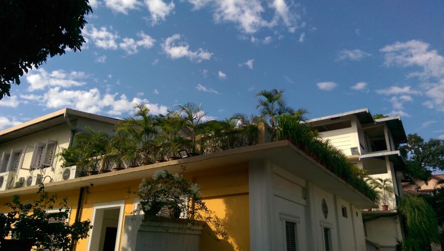 marinas motel