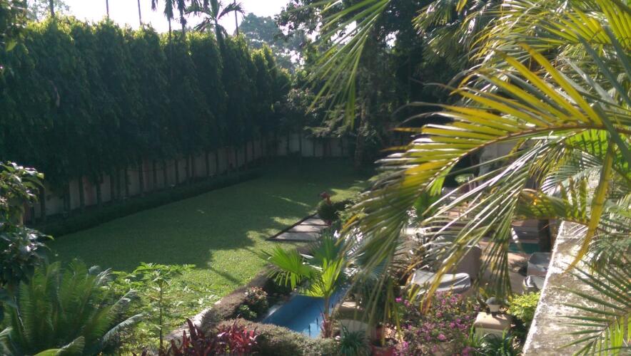 bagdogra