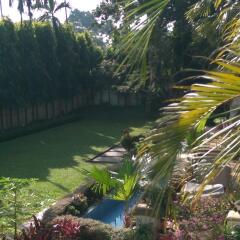 bagdogra