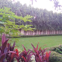 bagdogra