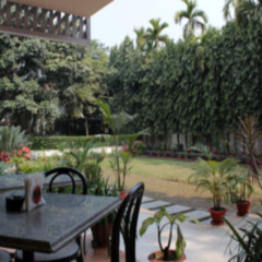 bagdogra