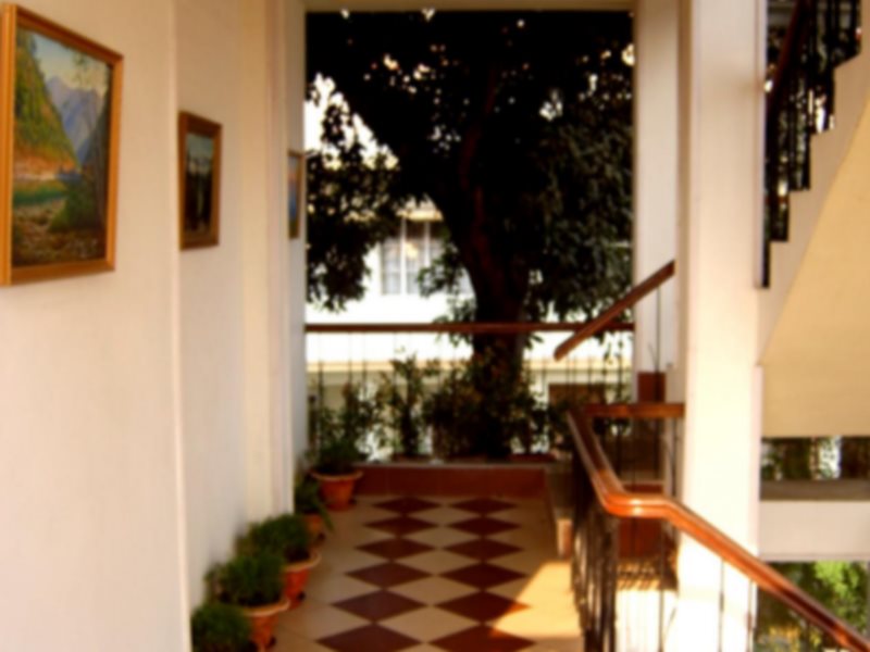 bagdogra