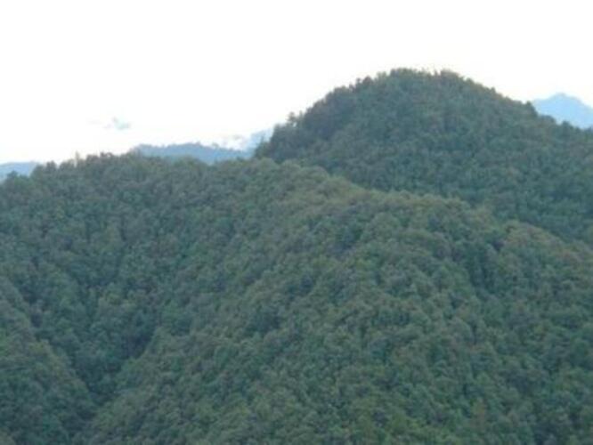 mussoorie