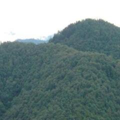 mussoorie