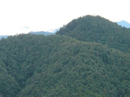 mussoorie