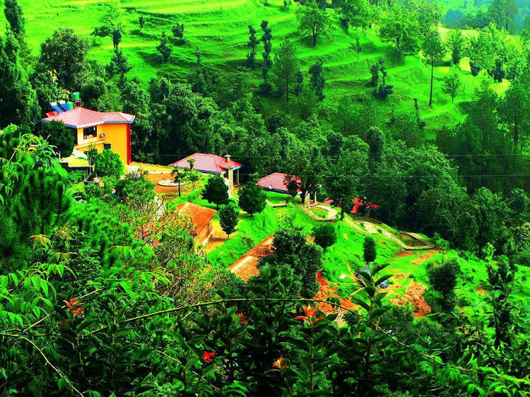 himalaya darshan resort