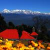 kausani