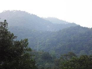 haldwani
