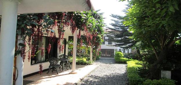 8fold pinecrest by larisa bhimtal