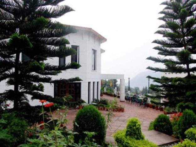 8fold pinecrest by larisa bhimtal