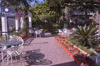 8fold pinecrest by larisa bhimtal