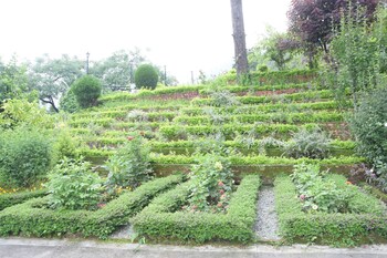 8fold pinecrest by larisa bhimtal