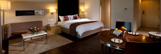 hotel shelton rajamahendri