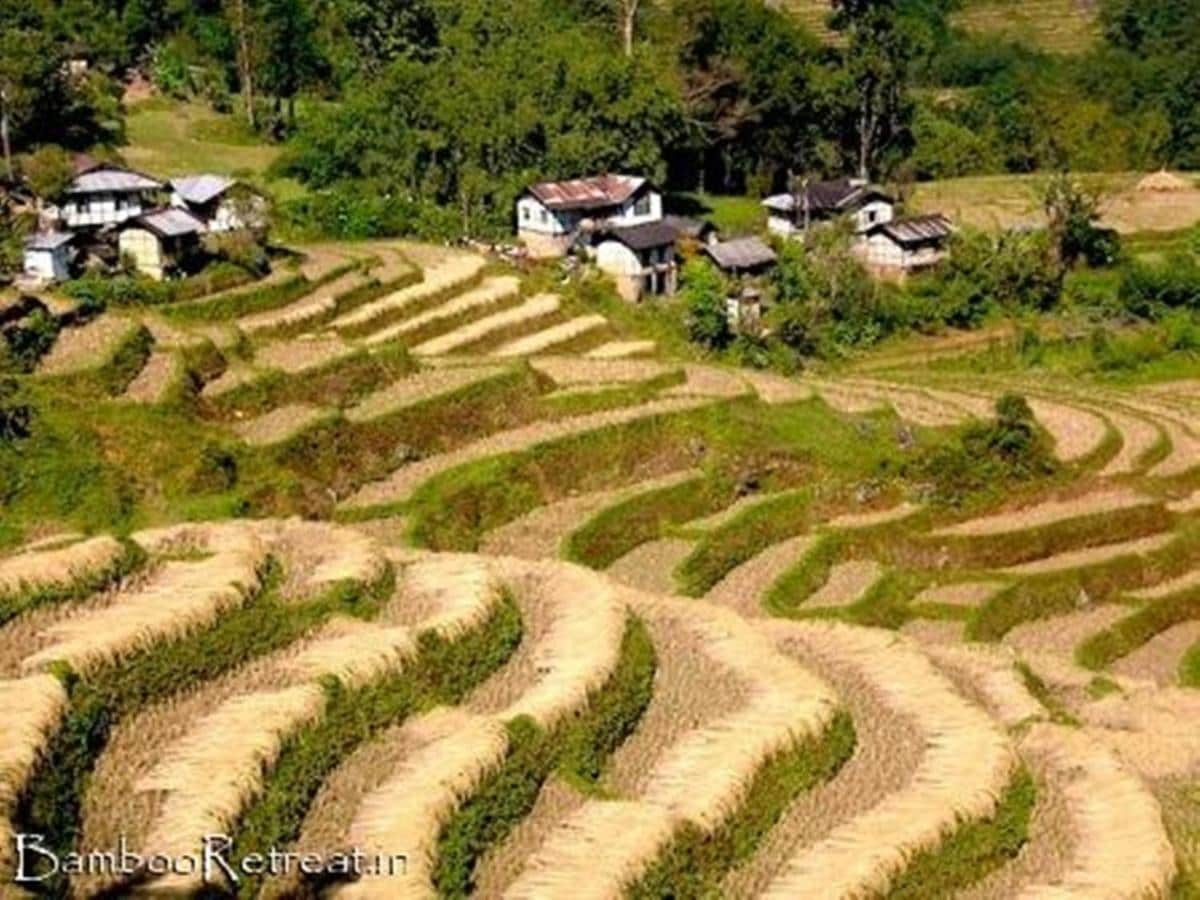 bamboo retreat hotel