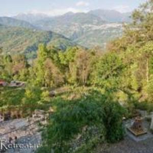 bamboo retreat hotel