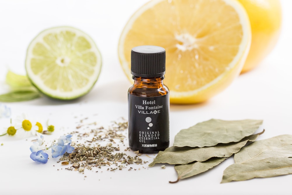 hotel villa fontaine tokyo nihombashi mitsukoshimae