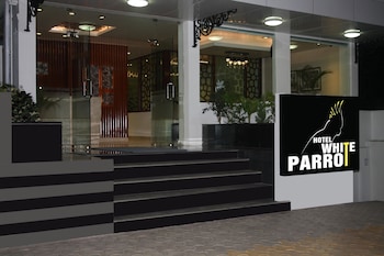 hotel white parrot