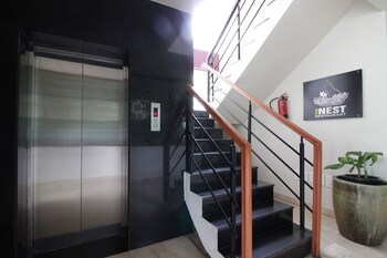 hotel white parrot