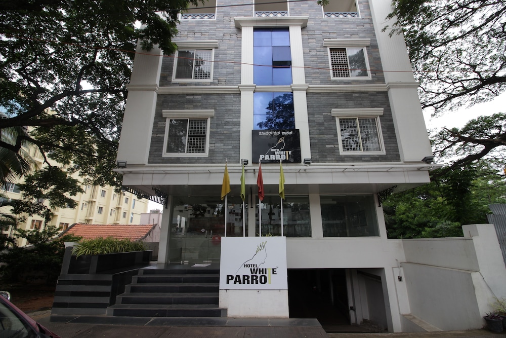 hotel white parrot